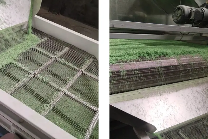 Quality Testing & Screening