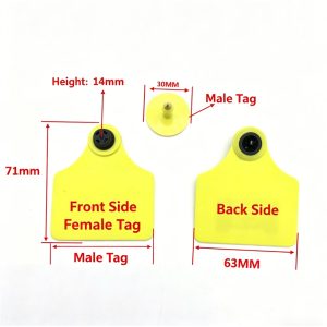 animal ear tag (for cattle)2 1