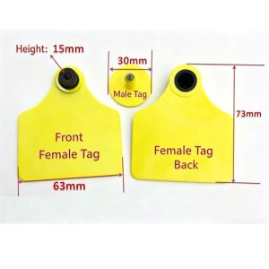animal ear tag (for cattle)5 1