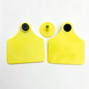 animal ear tag (for cattle)5