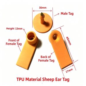 sheep ear mark3 1